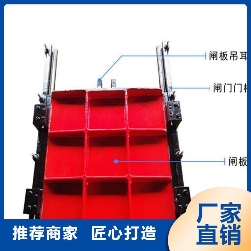 渠道闸门型号齐全当地厂家值得信赖