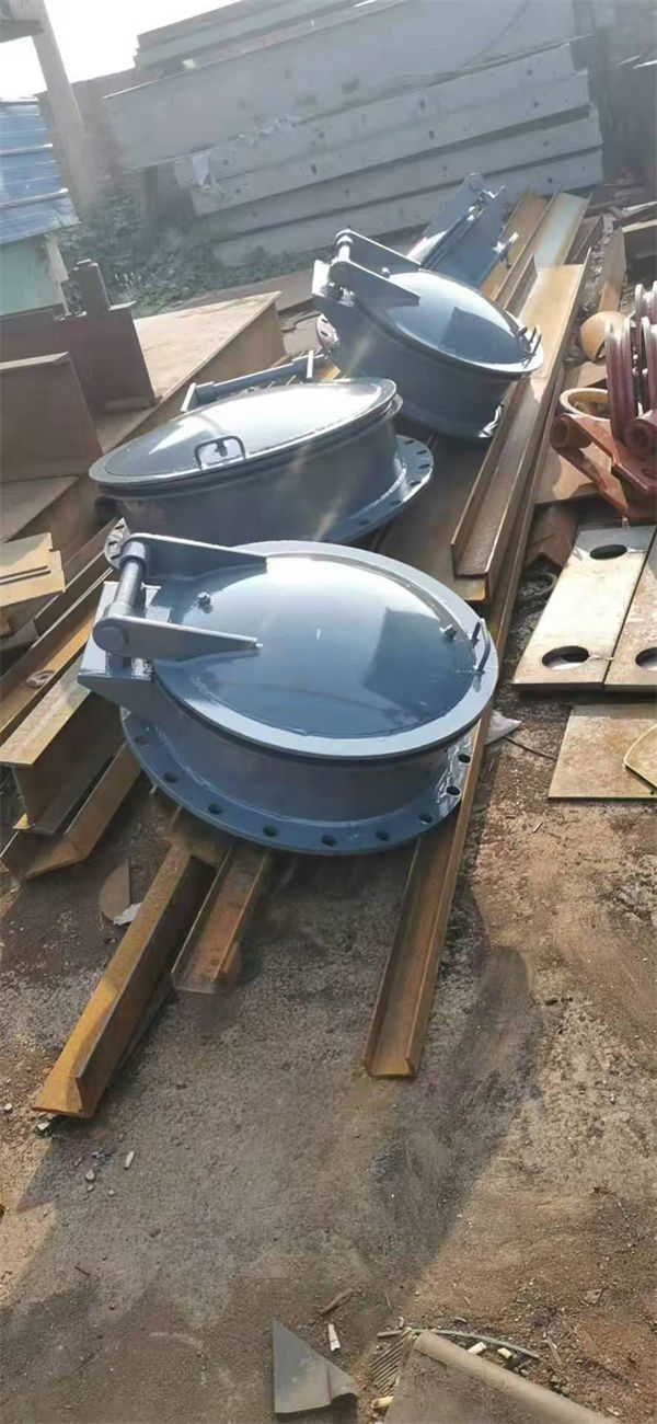 拍门-球墨铸铁拍门多种场景适用