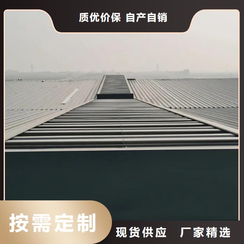风球本地公司