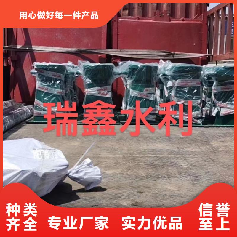 启闭机_钢制闸门严谨工艺当地服务商