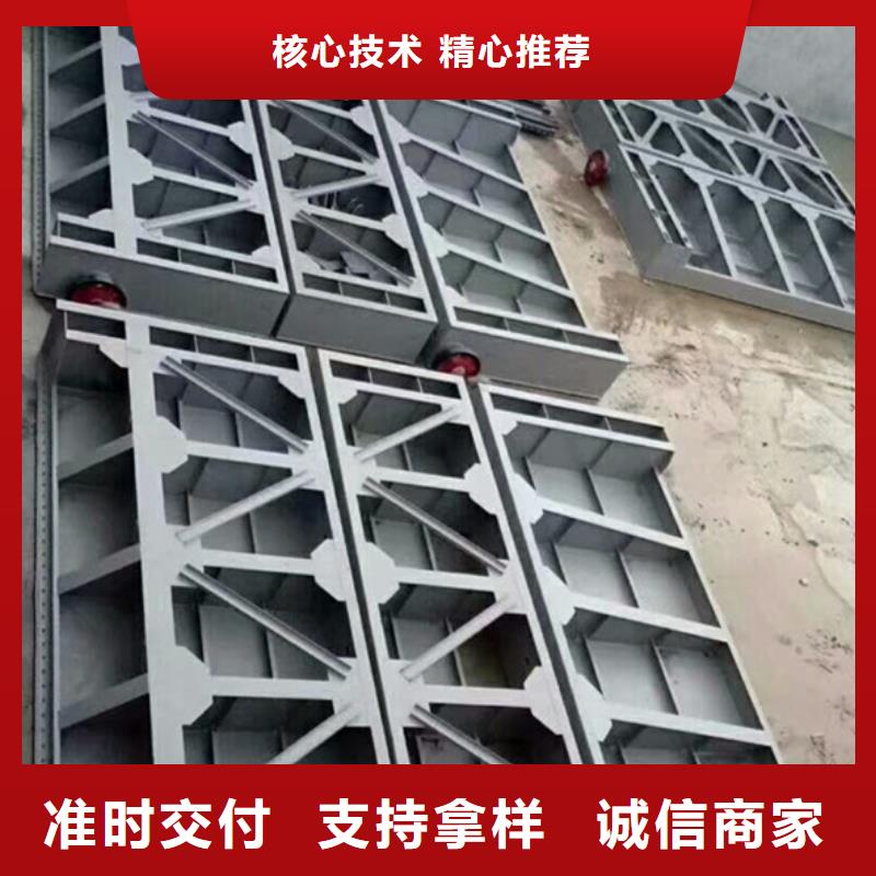 钢闸门启闭机闸门专注细节更放心本地经销商