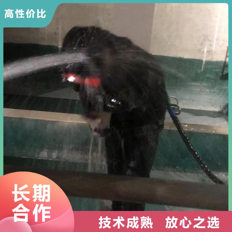 水下封堵水下堤坝加固技术精湛同城制造商