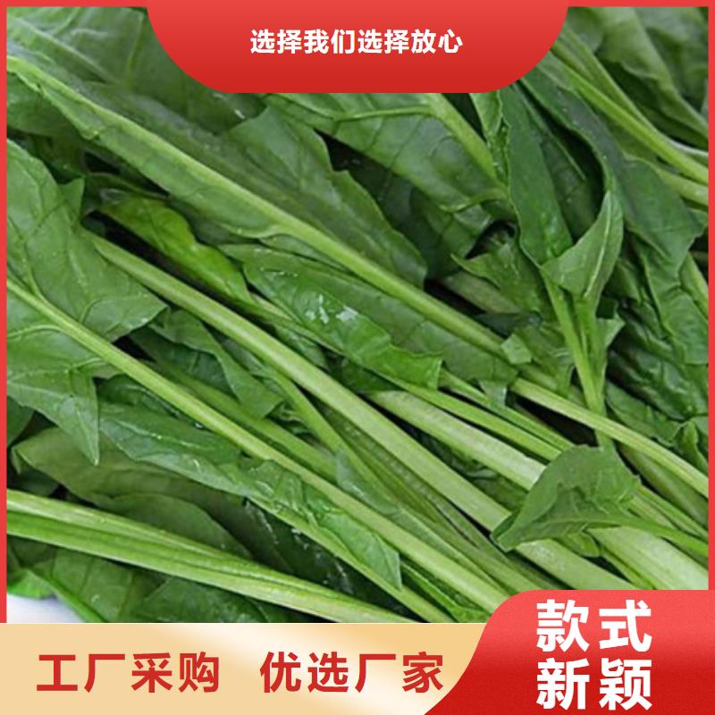 菠菜粉批发厂家现货供应