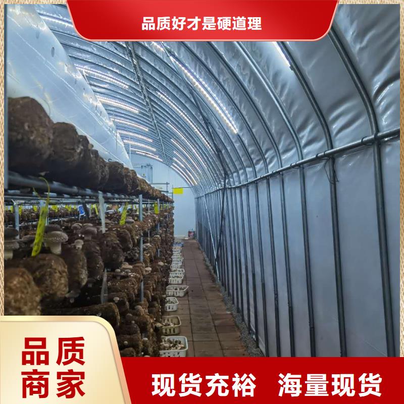 大棚管农业养殖大棚管品质无所畏惧同城货源