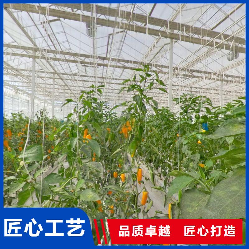 大棚管2
蔬菜温室大棚管多种款式可随心选择行业优选