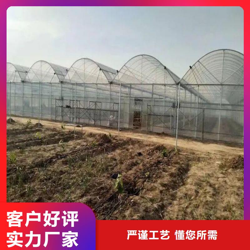 大棚管2连栋大棚管厂家新品买的是放心