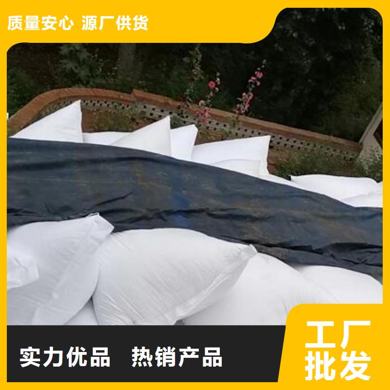 泡沫滤珠泡沫颗粒选择大厂家省事省心本地制造商