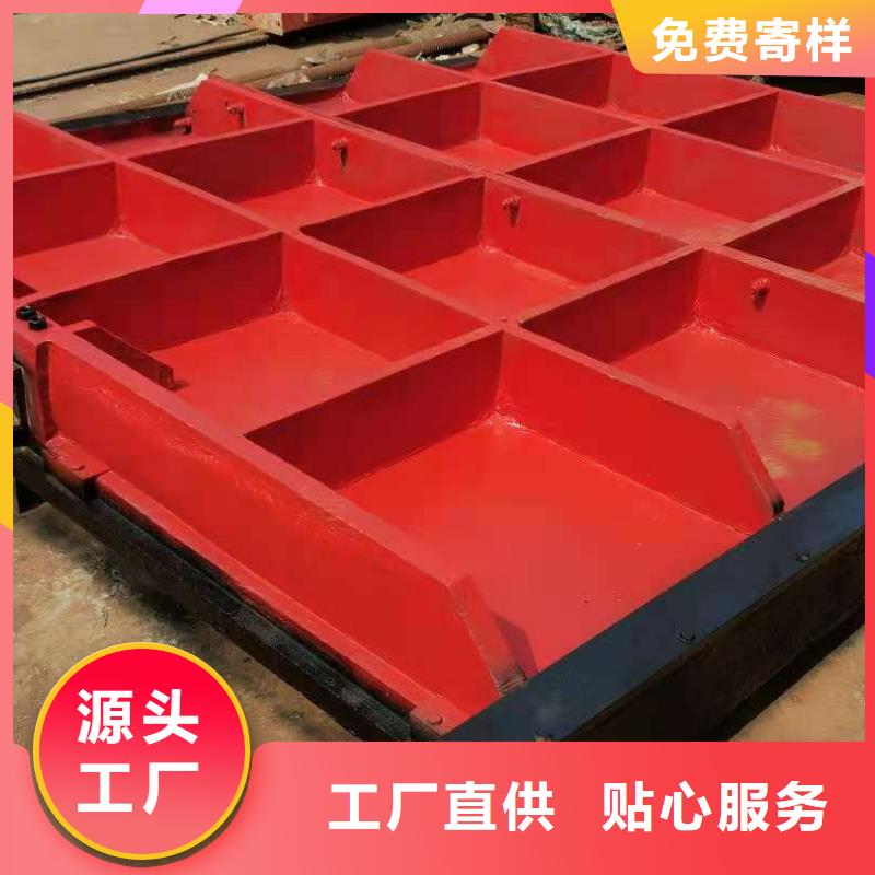 铸铁闸门-卷闸门做工细致批发供应