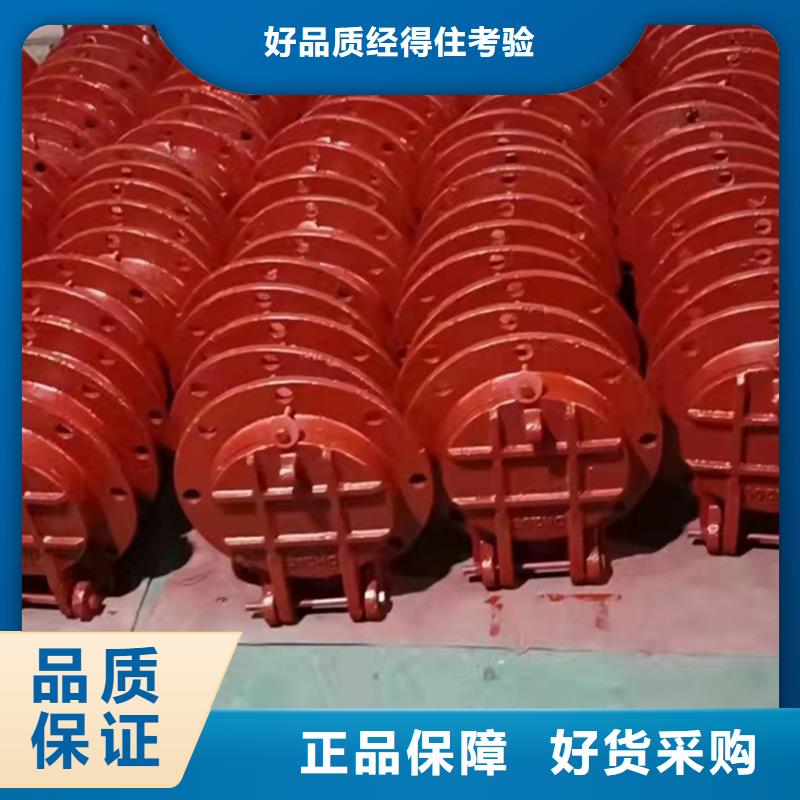 【铸铁闸门拍门用心做品质】源头直供