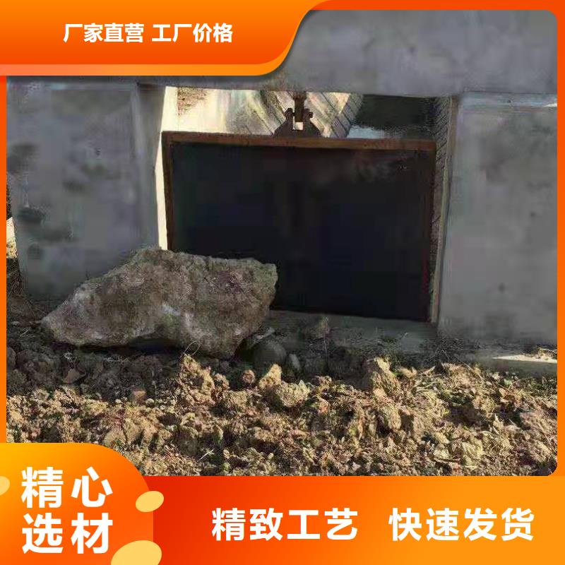 镶铜铸铁闸门源头生产厂家专业信赖厂家