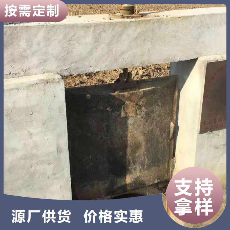 水电站铸铁闸门源头生产厂家的图文介绍