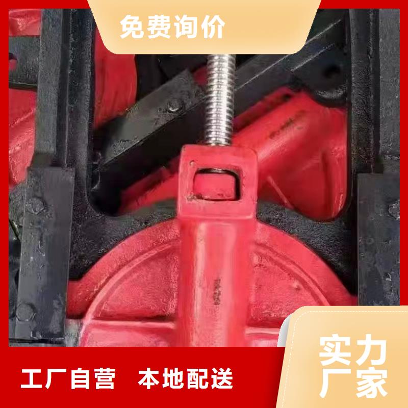 手提铸铁闸门可定制本地生产厂家