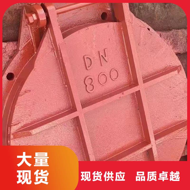 扇形闸门免费指导安装一手价格