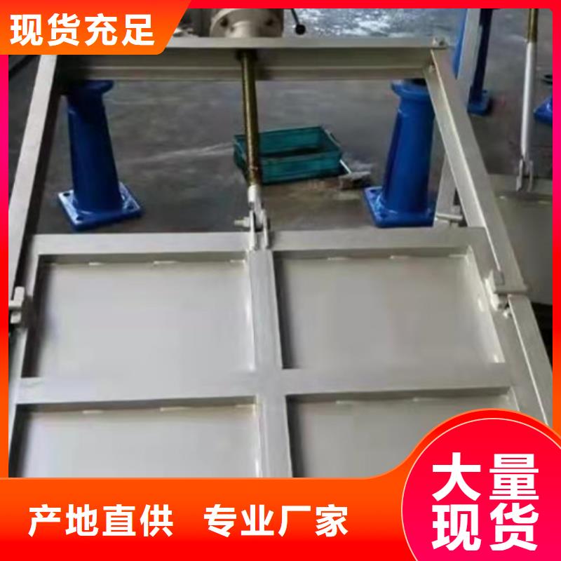 泵站上卧式闸门工厂直销本地品牌