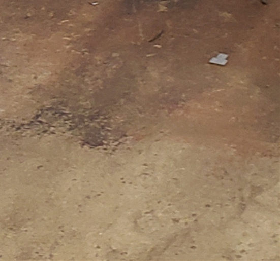 不绣钢道路护栏好货不贵