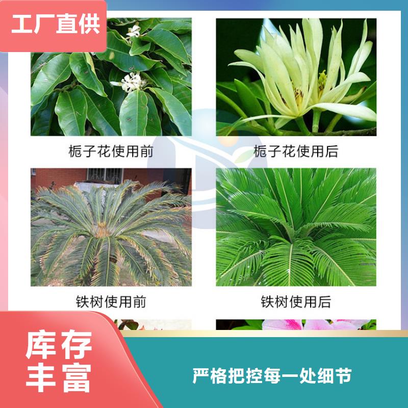 2025报价快的#硫酸亚铁生产厂家#厂家资质认证