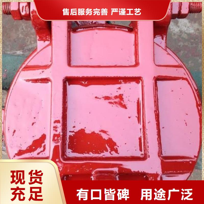 拍门_双向止水闸门专注细节专注品质库存丰富