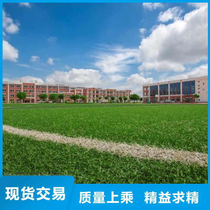 塑胶跑道支持定制质量安心