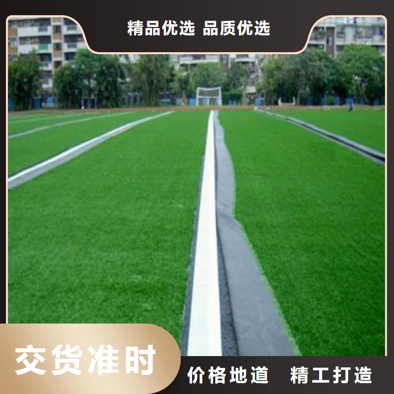 人造草坪体育塑胶运动场优势当地经销商