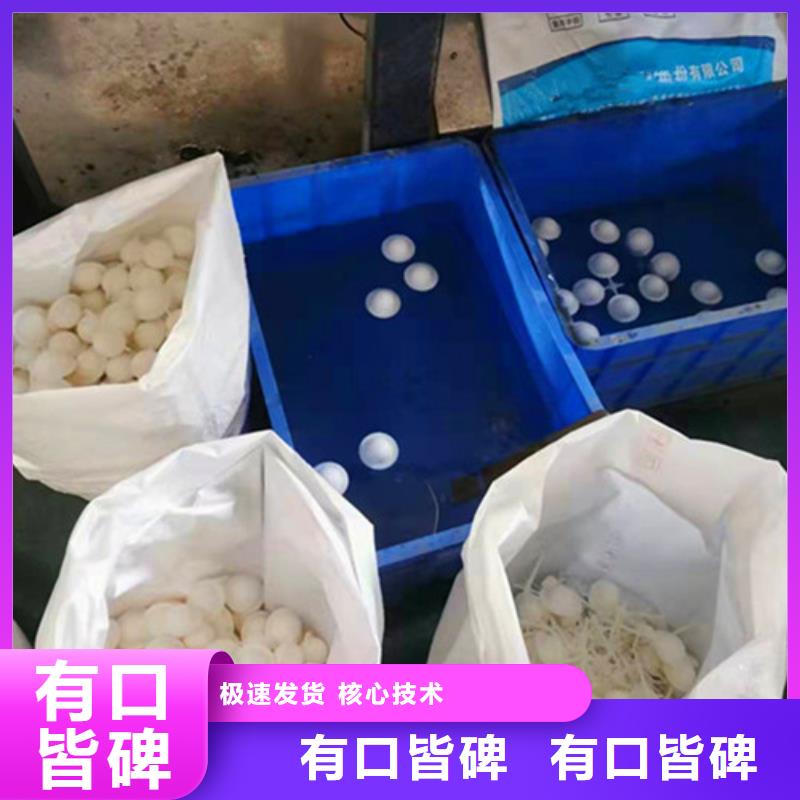 水处理填料-【活性炭厂家】生产经验丰富工程施工案例
