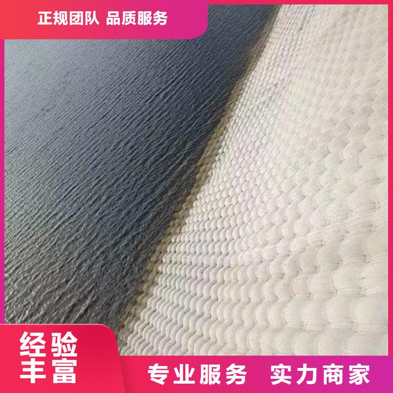 潜水员作业服务_沉管施工信誉保证收费合理