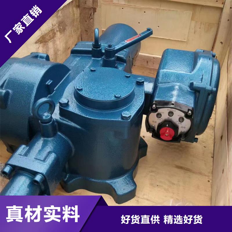 卷扬启闭机乐东县QL型手电两用双吊点启闭机经久耐用同城货源