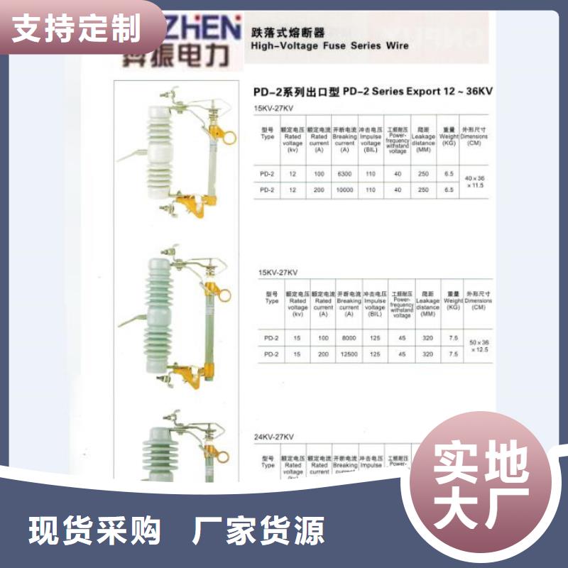 熔断器三相组合式避雷器丰富的行业经验工厂直供