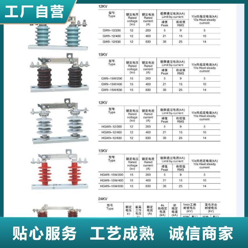 高压隔离开关,高压负荷开关合作共赢满足客户所需