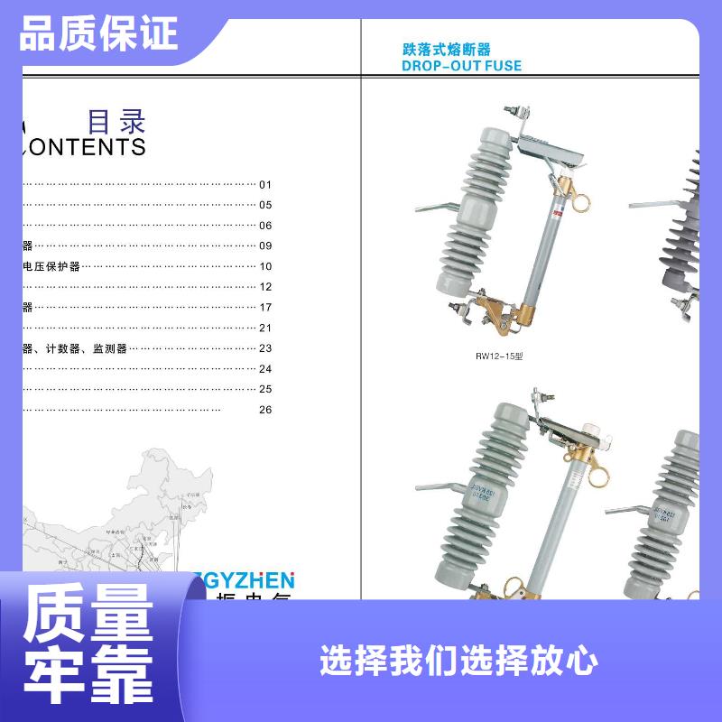 高压隔离开关避雷器用的放心附近品牌