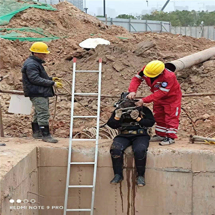 扬中市水下安装公司（今日/推荐）本地生产商