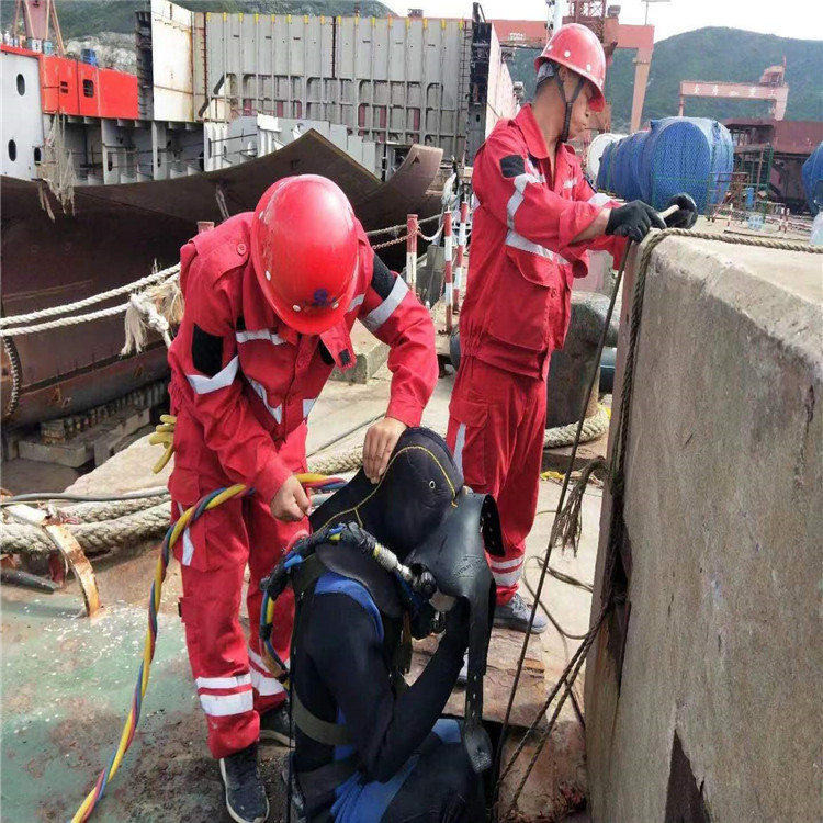 上海市打捞手机贵重物品本地蛙人打捞本地厂家