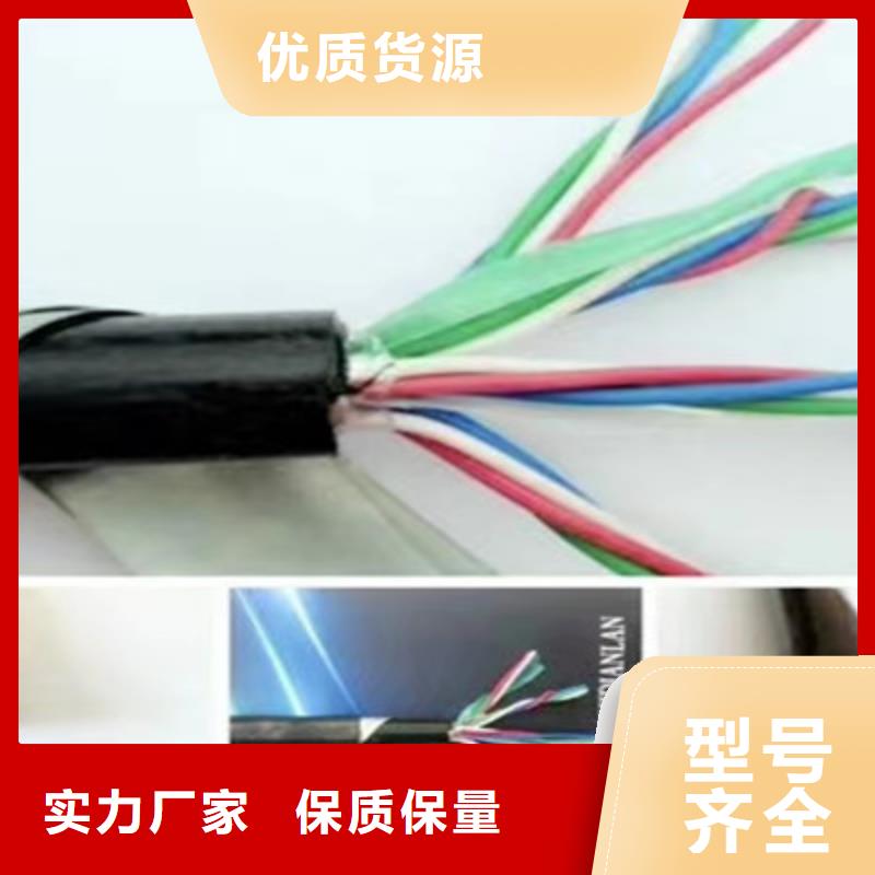 铁路信号电缆信号电缆专心专注专业本地公司