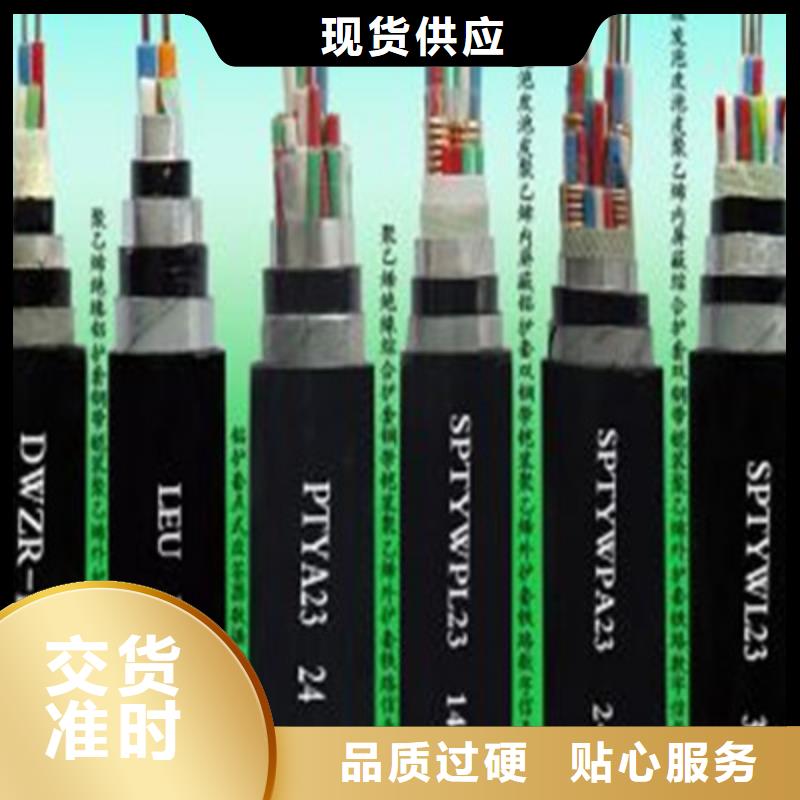 铁路信号电缆屏蔽电缆工厂价格当地经销商