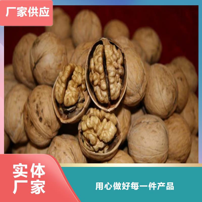 核桃苗樱桃苗源厂直销保质保量