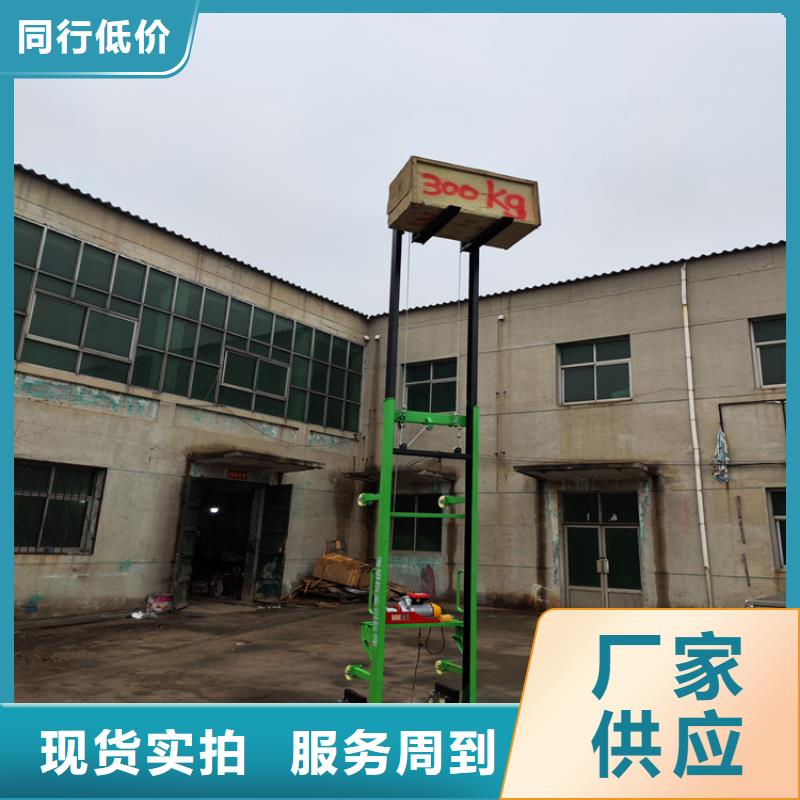 电动上砖机放心得选择厂家采购