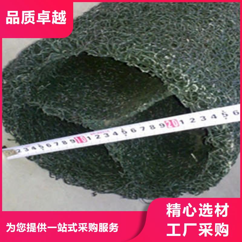 塑料盲沟土工膜的简单介绍厂家拥有先进的设备