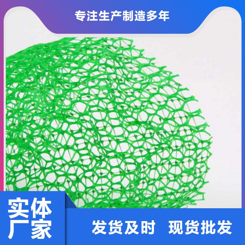 【三维植被网软式透水管准时交付】规格齐全实力厂家