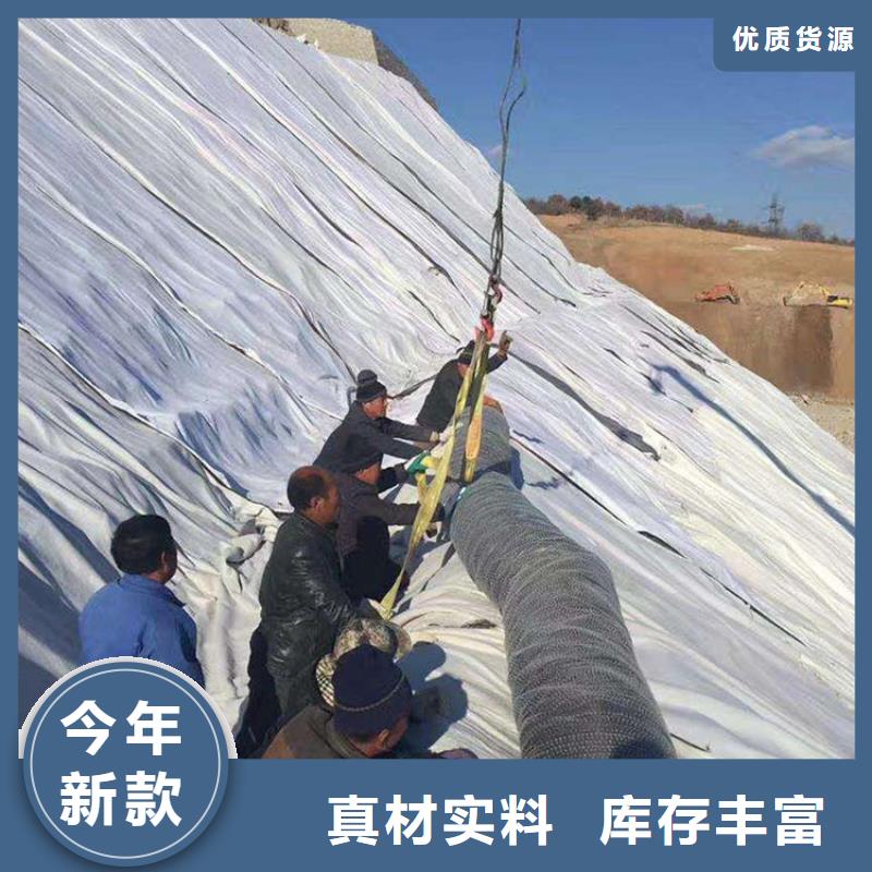 膨润土防水毯土工布颜色尺寸款式定制本地公司