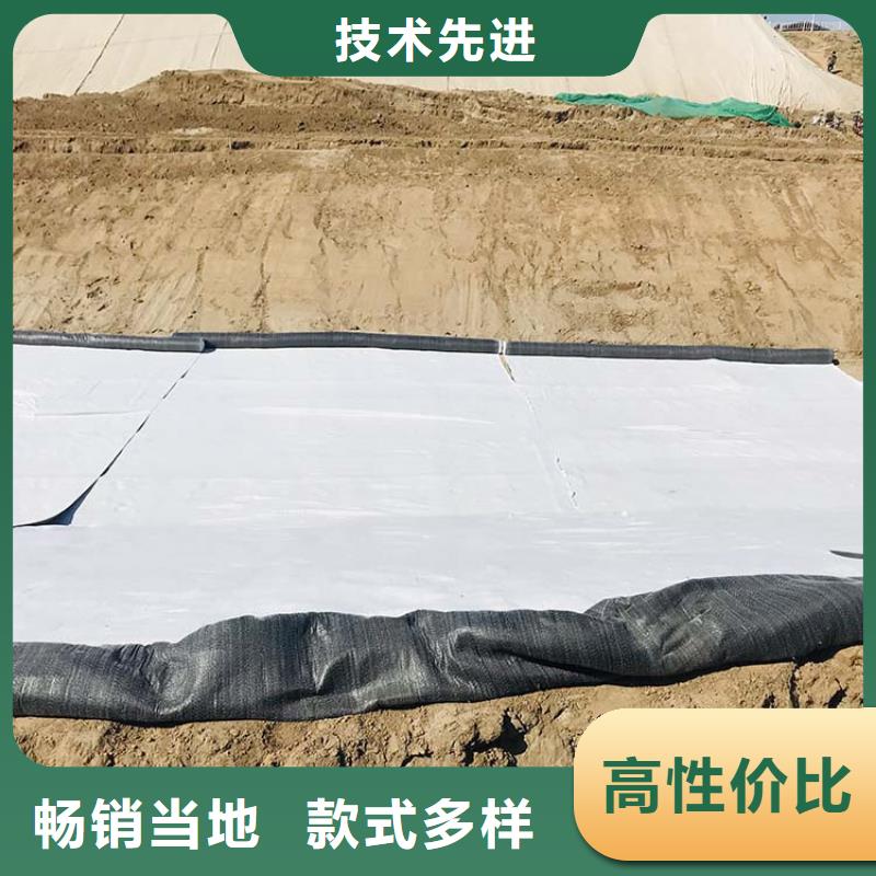 【膨润土防水毯】植草格用心做好每一件产品当地生产商