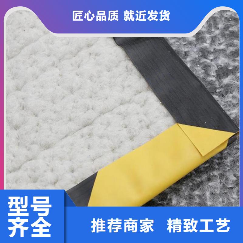 膨润土防水毯-土工膜一站式供应厂家当地货源