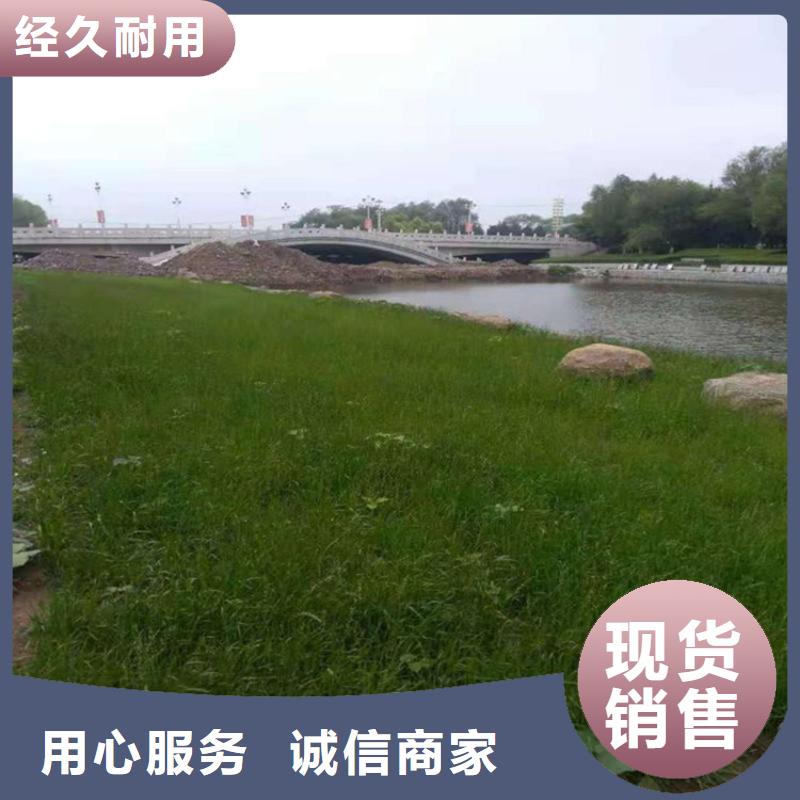 椰丝毯防水排水板支持大小批量采购工厂自营