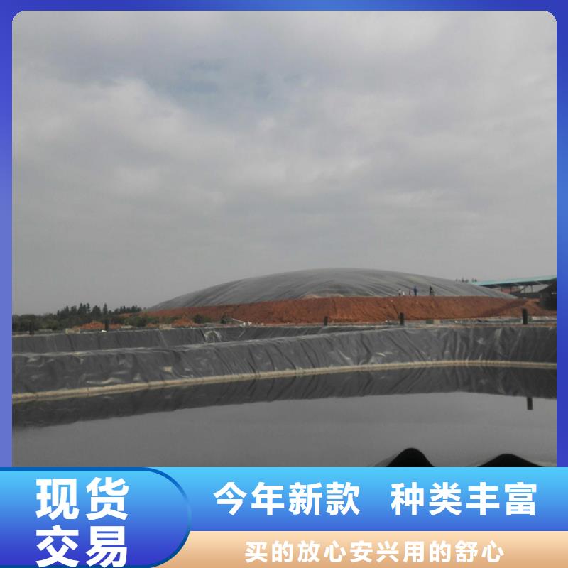 土工膜涤纶格栅品质服务全品类现货