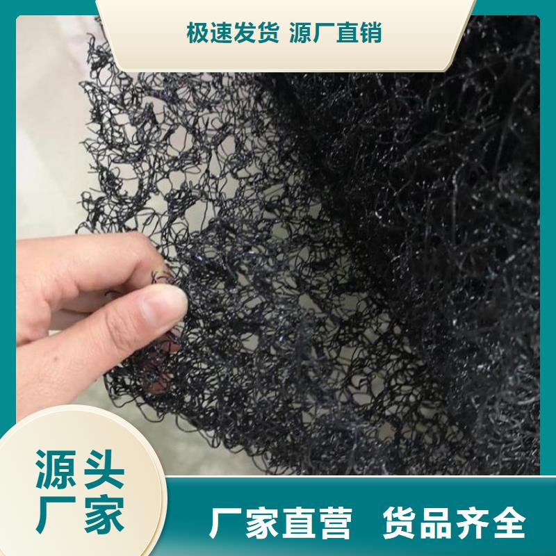 水土保护毯双向土工格栅精品选购本地服务商