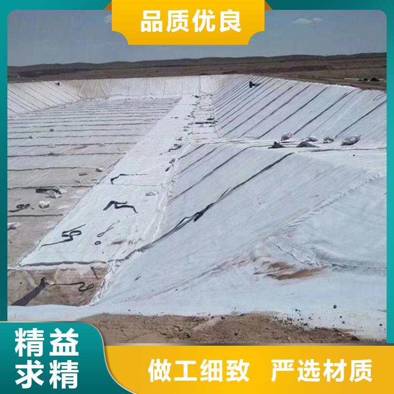 膨润土防水毯土工格栅大厂家实力看得见工厂现货供应