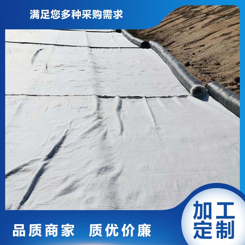 【膨润土防水毯土工网垫市场报价】满足客户需求