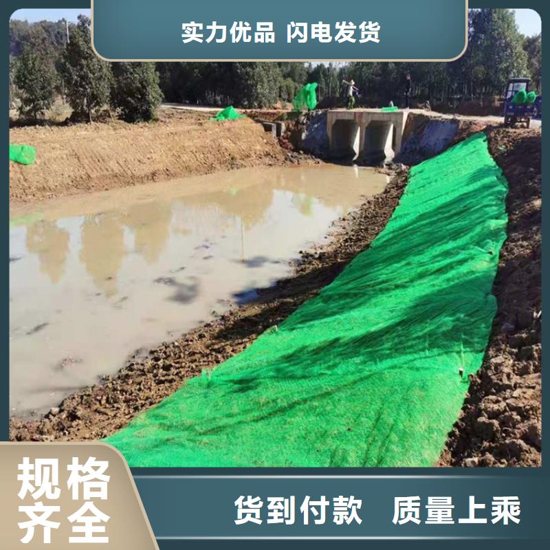 【三维植被网膨润土防水毯工艺成熟】同城厂家