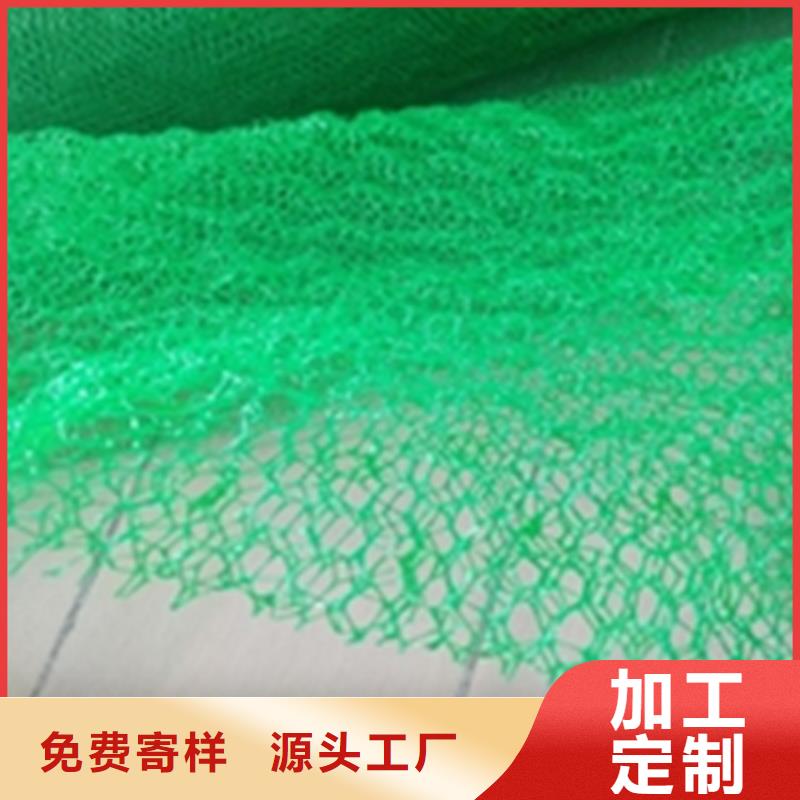 三维植被网_防渗膜产地源头好货支持定制批发