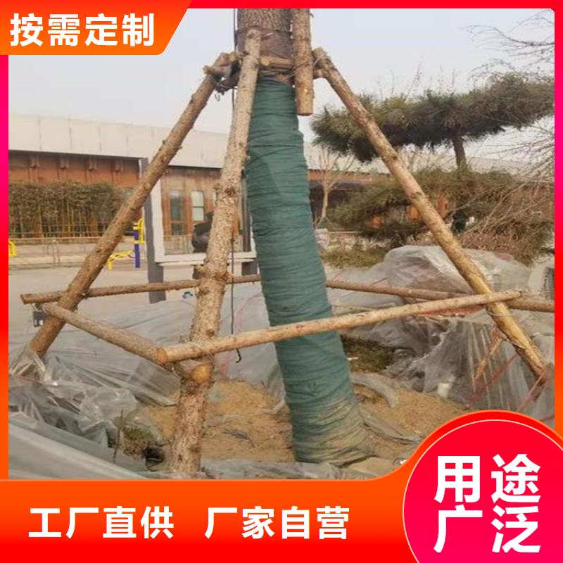 裹树布蓄水板现货充足量大优惠产地货源