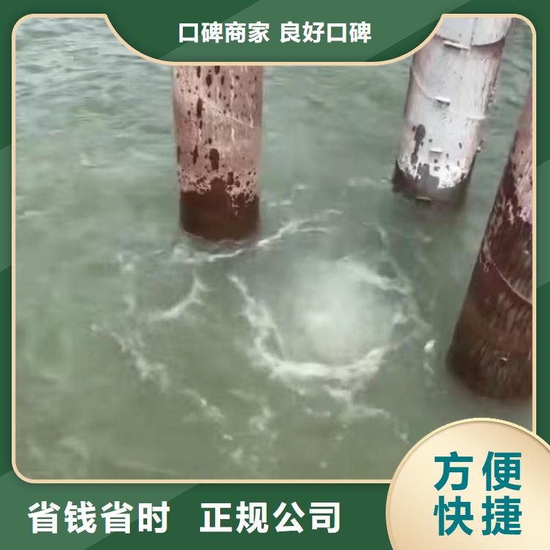 污水厂打捞泵欢迎电询浪淘沙水工信誉良好