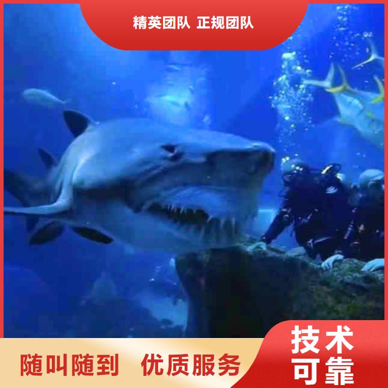 潜水员服务_水下清淤遵守合同实力商家
